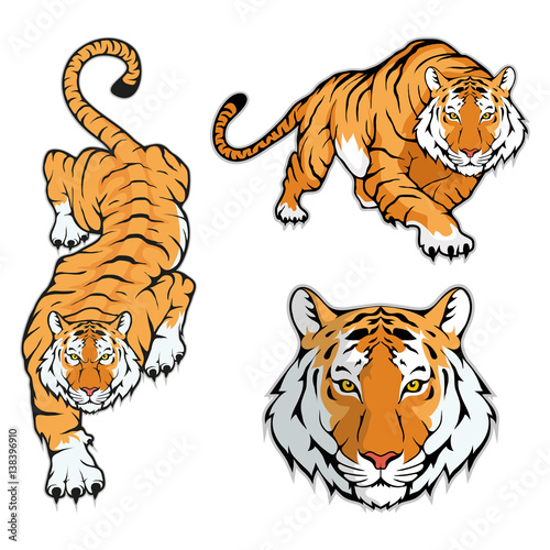 Tiger set, isolated on white background, colour illustration, suitable as logo or team mascot