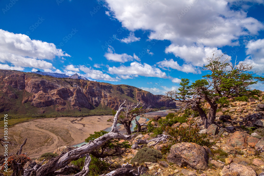 Fototapeta premium Beautiful landscape of river valley in El Chalten with amazing sky and some plants in front. Selective focus.
