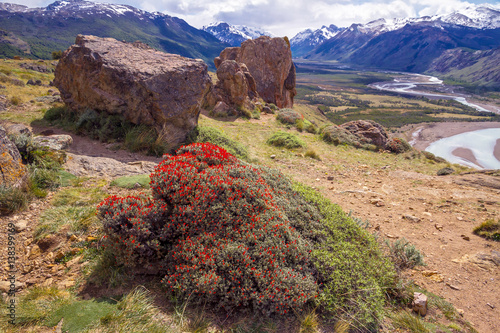 Red flowers plant in the mountains with the view on river and mountains valley. Patagonia. Selective focus.