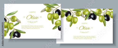 Olive horizontal banners