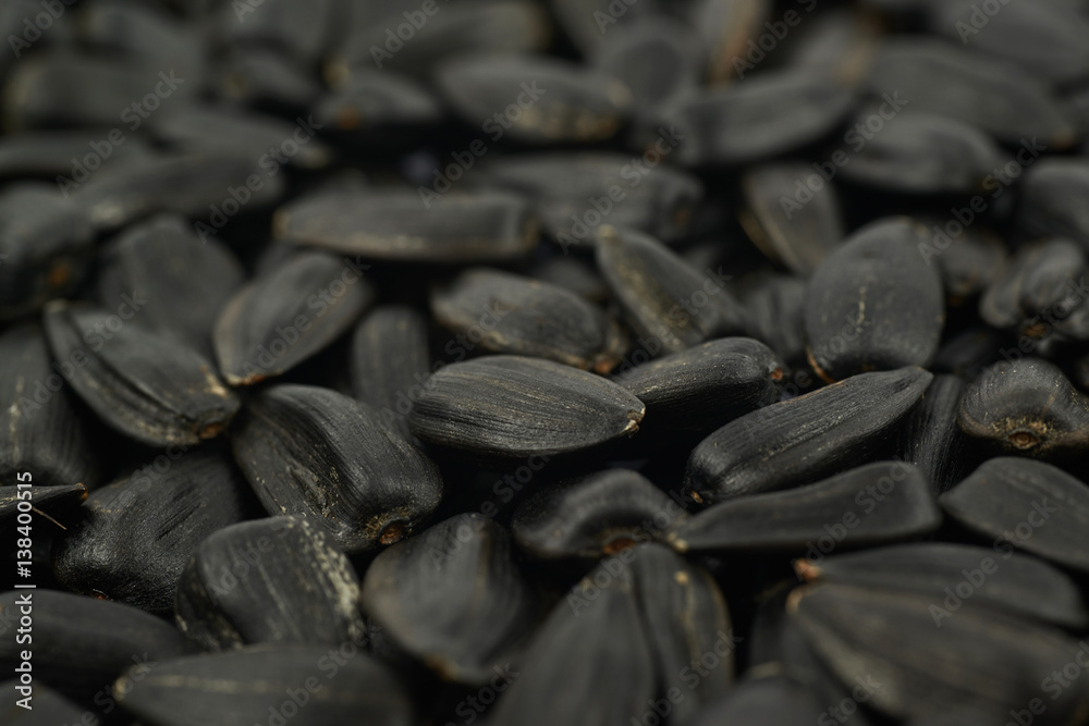 Surface coated with the sunflower seeds
