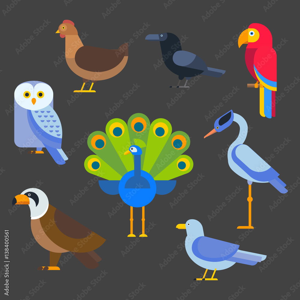 Naklejka premium Birds vector set illustration isolated