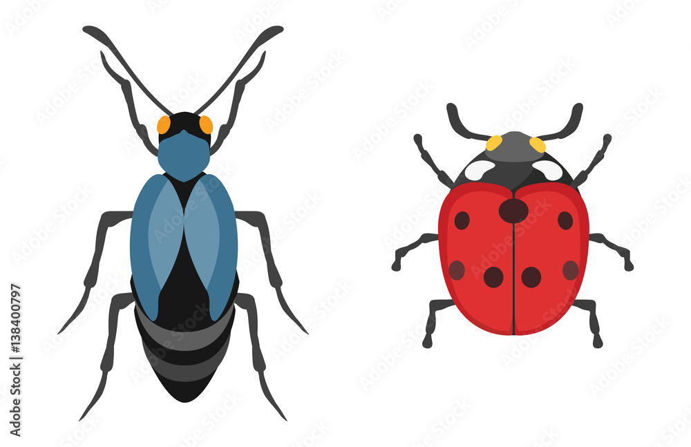 Fototapeta premium Insect icon flat isolated vector illustration.