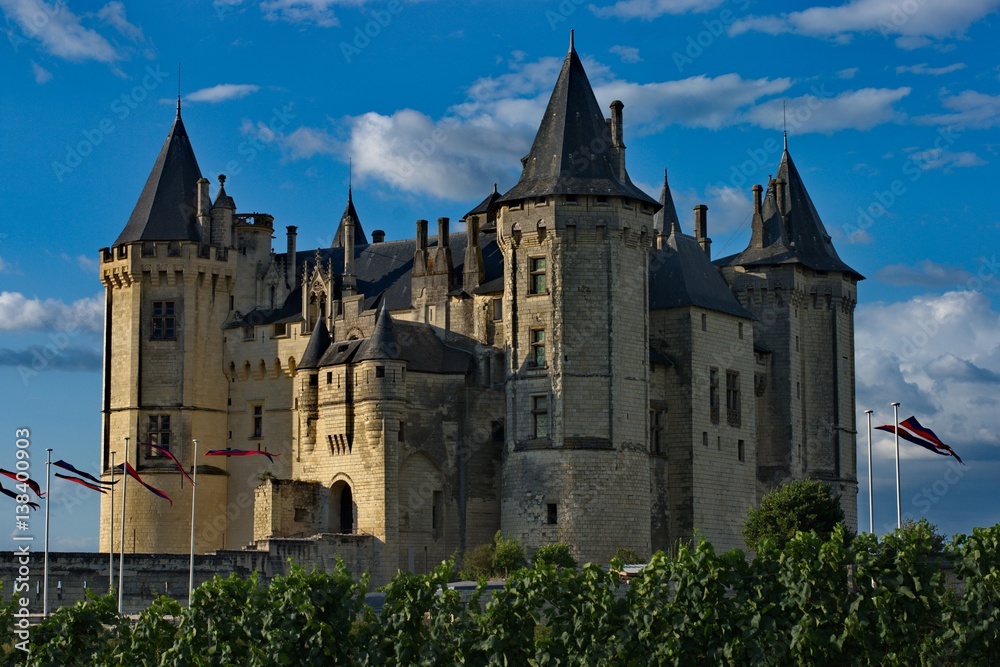 Château de Saumur 01