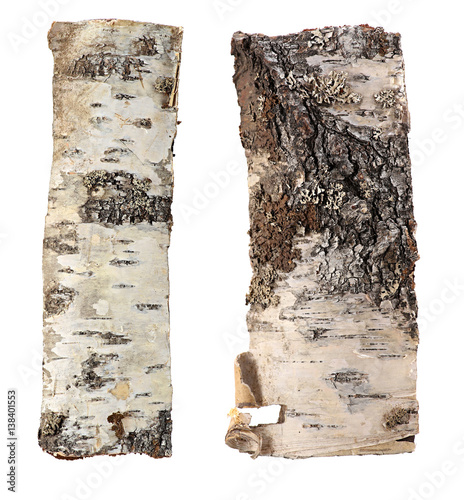 Bild auf Leinwand birch bark background isolated on white background.