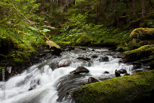 Paris Creek