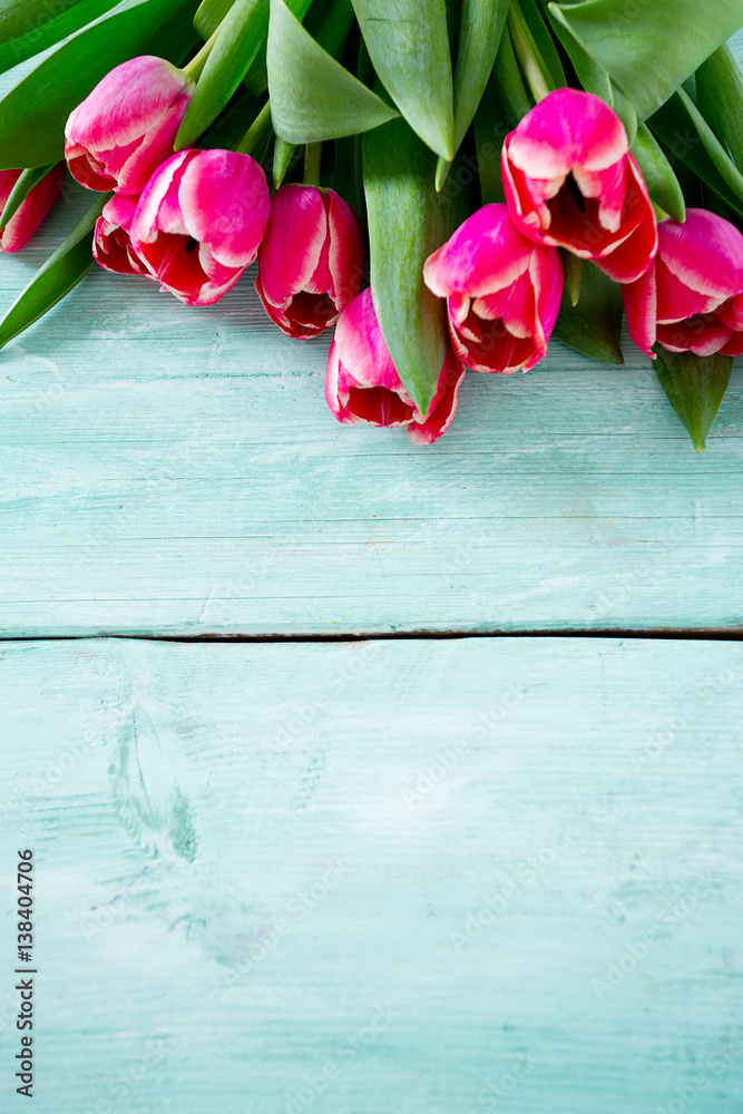 pink tulips on turquoise wooden surface