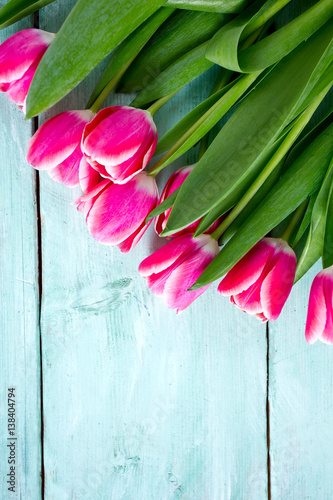 Fototapeta Naklejka Na Ścianę i Meble -  pink tulips on turquoise wooden surface