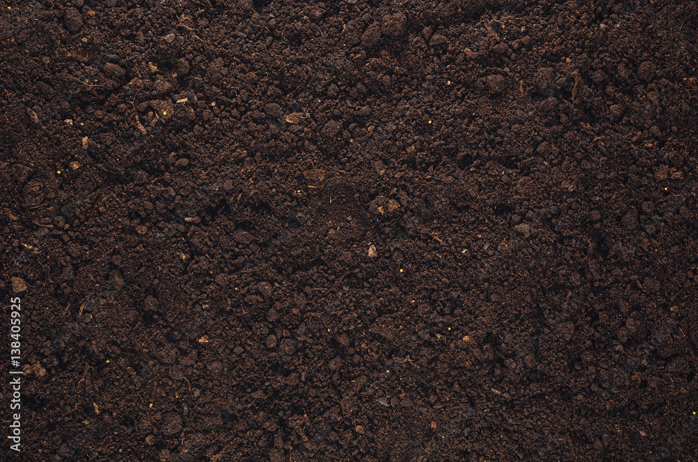 Fototapeta premium Żyzne tło tekstury gleby widziane z góry, widok z góry. Koncepcja ogrodnictwa lub sadzenia z miejsca na kopię. Naturalny wzór