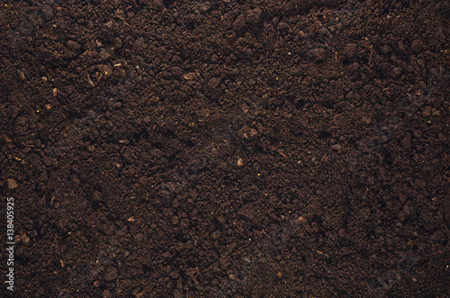 Fertile soil texture background seen from above, top view. Gardening or planting concept with copy space. Natural pattern photo