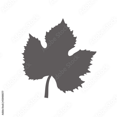 leave grape tree design vector illustration eps 10