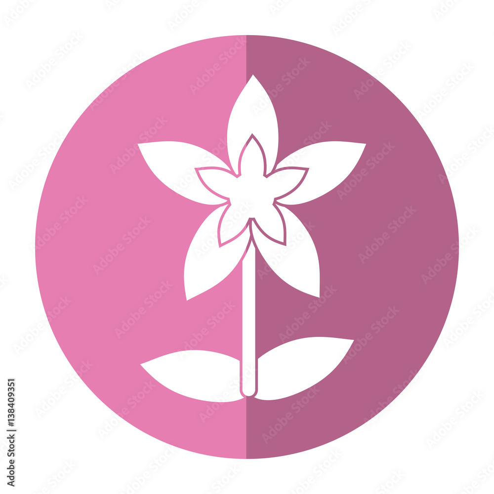 flower tropical exotic shadow vector illustration eps 10 flower tropical exotic shadow vector illustration eps 10