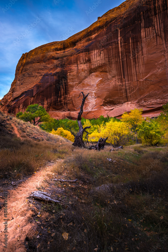 Coyote Gulch Hiking Trail Fall Colors