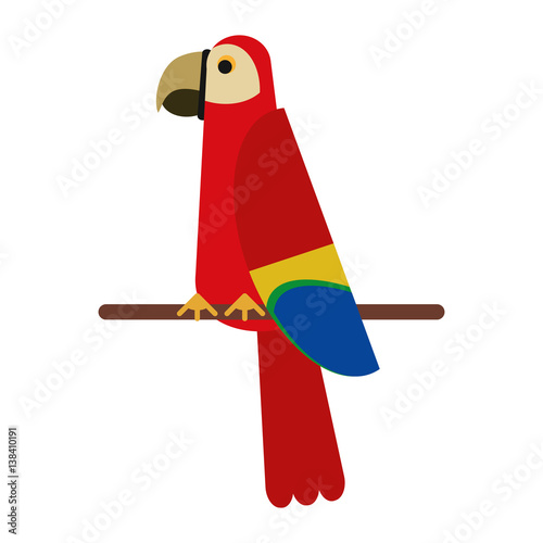 scarlet macaw tropical bird vector illustration eps 10