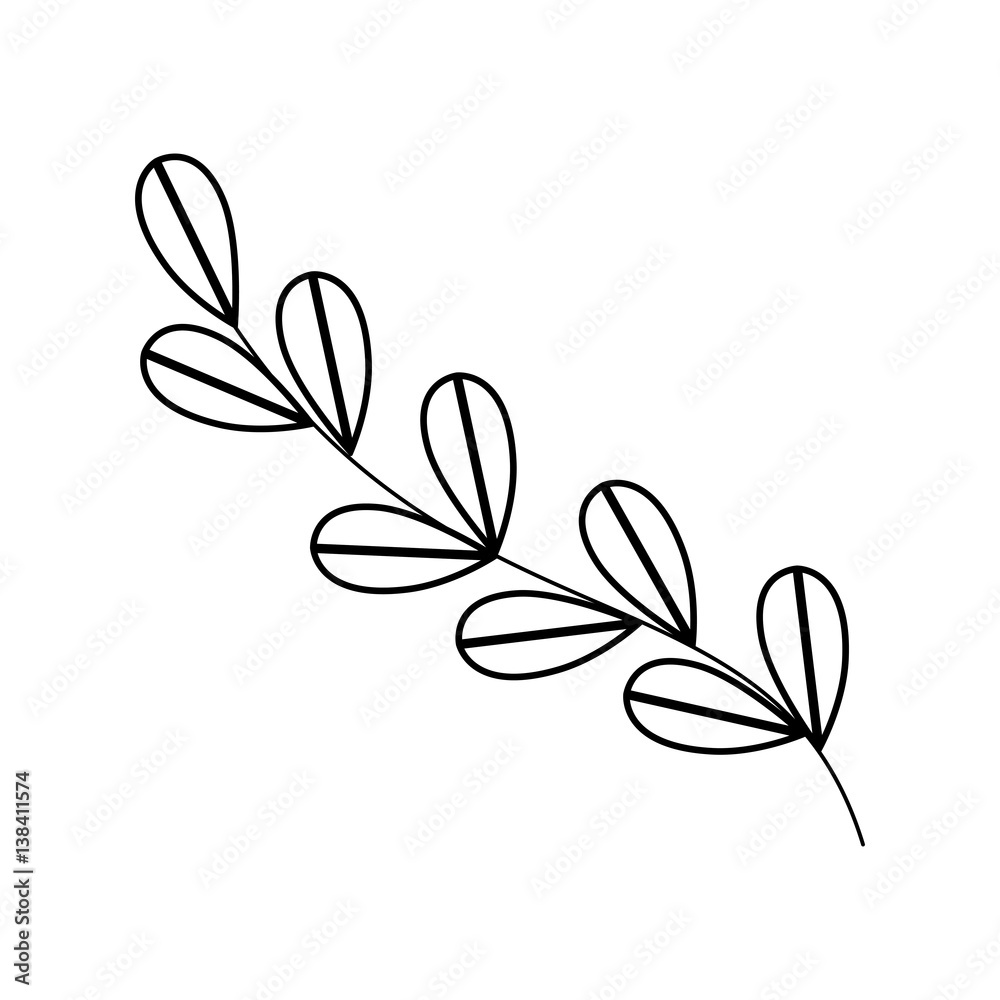 monochrome contour with oval leaves with ramifications vector illustration