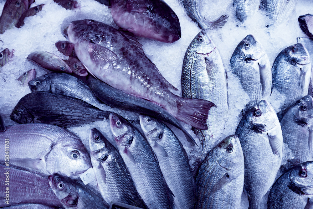 Obraz premium Fresh seafood. Fresh fish in the market. fresh dorada fish