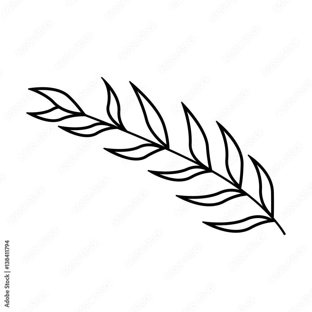 monochrome contour of oval leaves with ramifications vector illustration