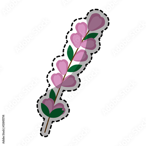 sticker of color silhouette flowers with oval leaves and ramifications vector illustration