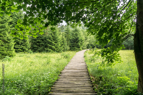 Wooden pathways lead visitors through forests and over lakes at Plitvice Lakes National Park in Croatia. This is one of the first wooden walkways when you get off the train at the upper lakes leading 