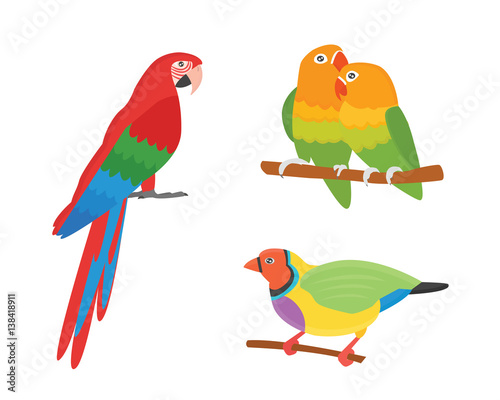 Cartoon tropical parrot wild animal bird vector illustration.