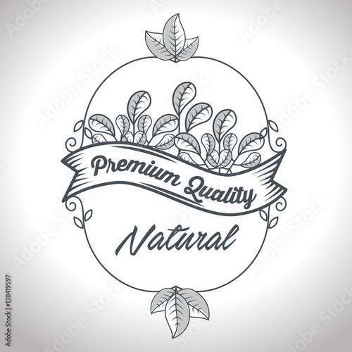 seal natural product guaranteed vector illustration design