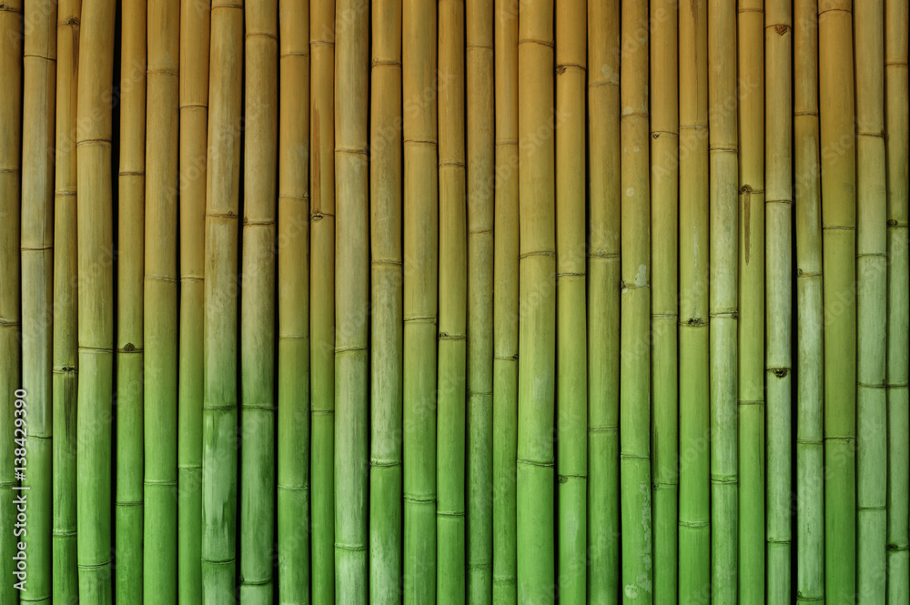 Naklejka bambusowy płot tło półtonów zielony i żółty