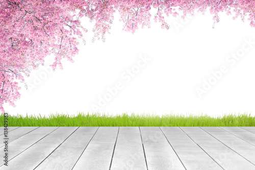 White wooden plank and cherry blossom branch background