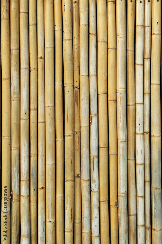 Fototapeta premium bamboo fence background