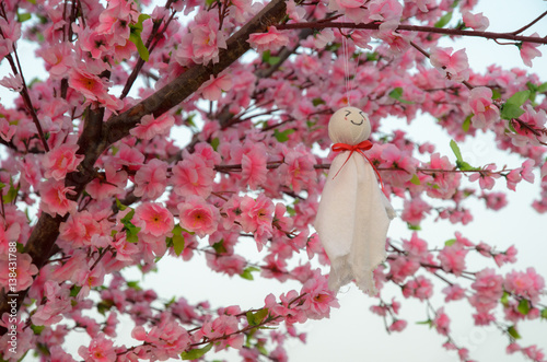 Teru teru bozu hanging on the sakura tree © kevinlert