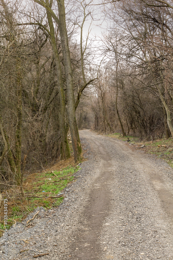 country road