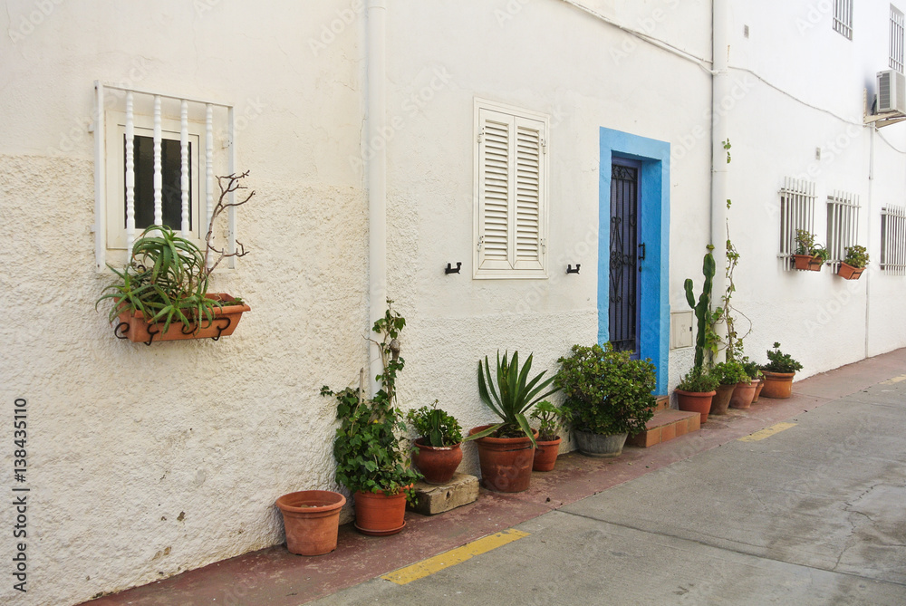 A white house and standing near it pots of flowers and other plants, a close up at small town Cabo de Gata, Andalusia, Spain.