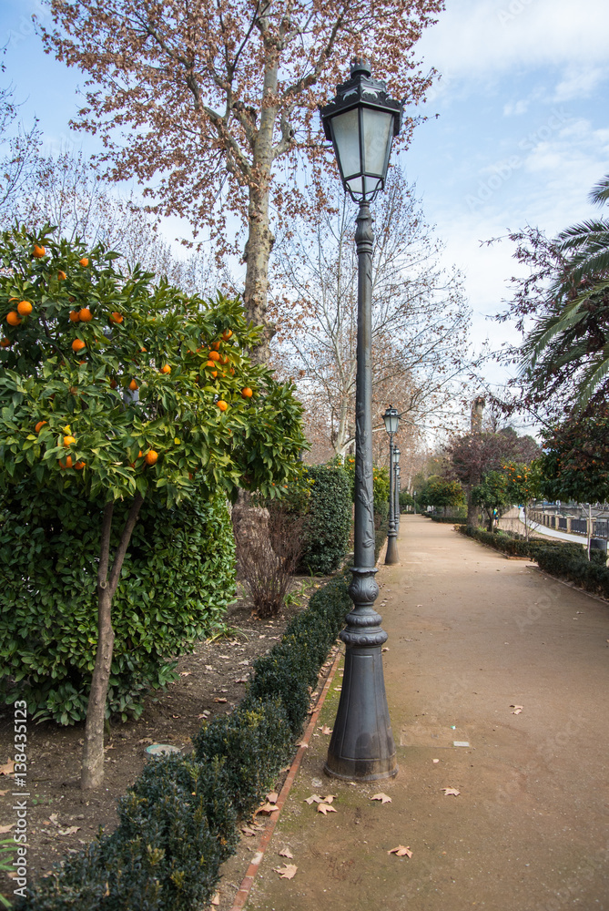 A lantern and an orange tree at the park of Granada, Andalusia, Spain.
