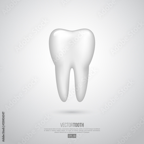 Realistic 3D tooth.