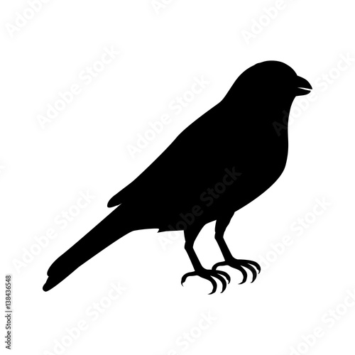 Canary Flat Design Vector Illustration