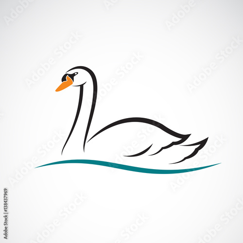 Vector of swan on white background. Wild Animals.