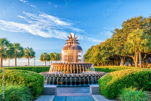 Pineapple Fountain