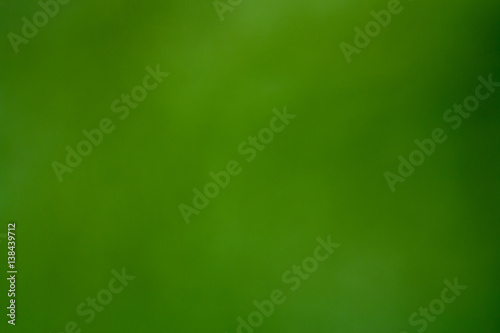 Blurred Background in Green color