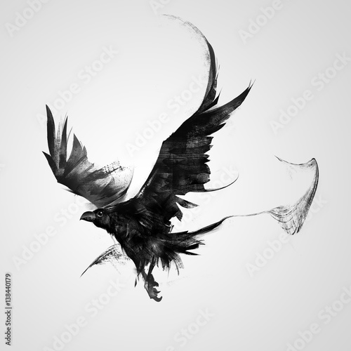 isolated painted black raven in flight