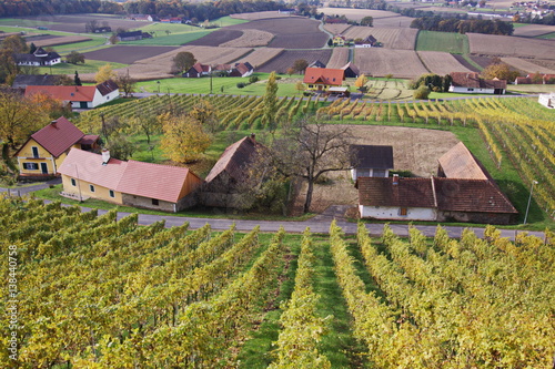 Weingarten bei Bad Radkersburg photo