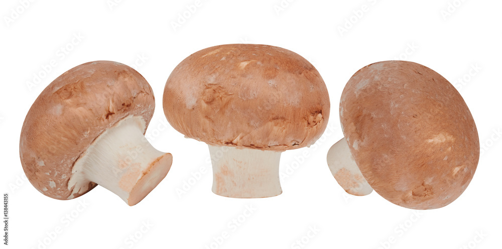 Fototapeta premium Brown mushrooms isolated