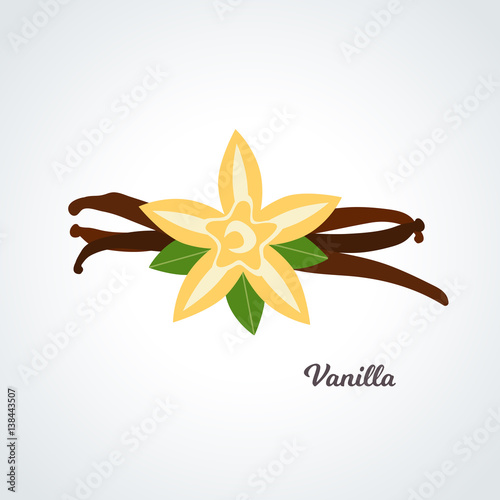 Vector - flower and vanilla pods