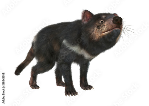 3D Rendering Tasmanian Devil on White