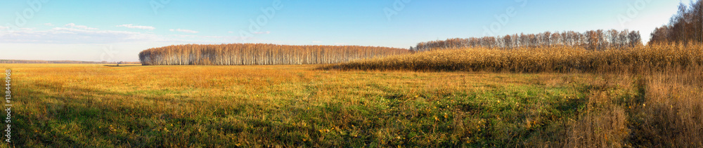 Fototapeta premium panoramic view of the agricultural land in early spring
