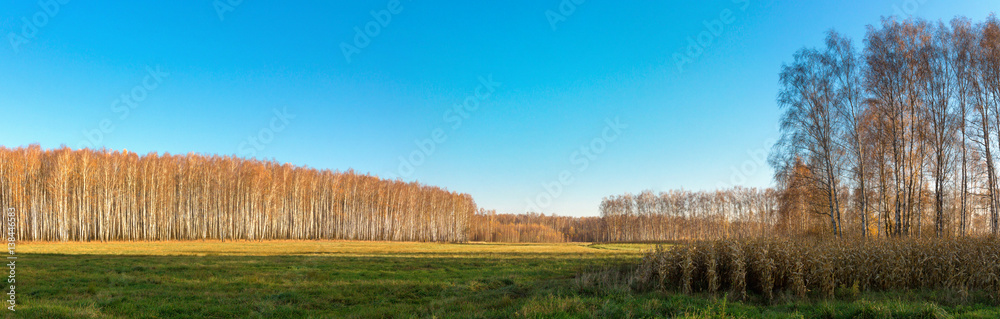 Obraz premium panoramic view of the agricultural land in early spring