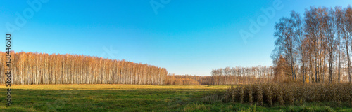 panoramic view of the agricultural land in early spring