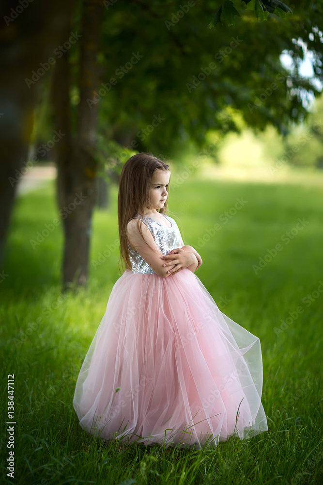 Fototapeta premium girl in a beautiful dress