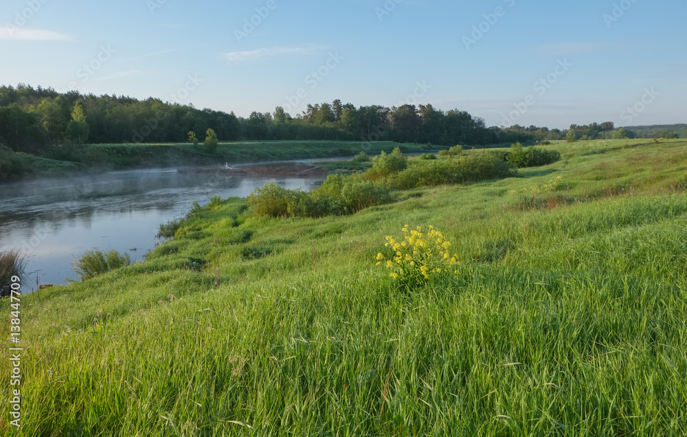 Summer landscape with a river on a sunny morning. Ugra River in the Smolensk region