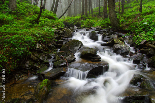 River in the woods