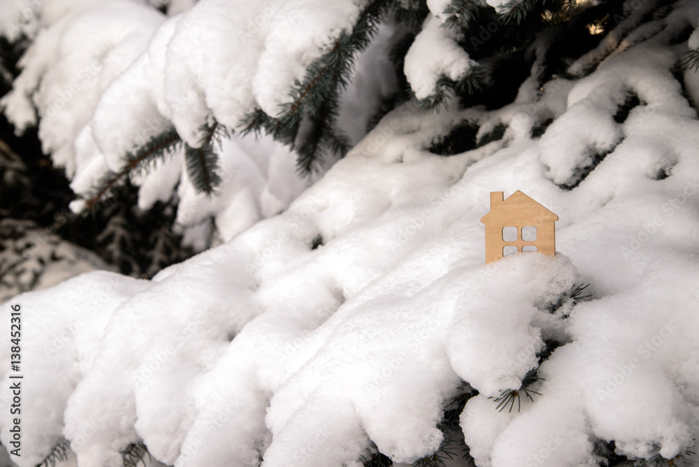 symbol of the house stands on a snow-covered fir branches 
