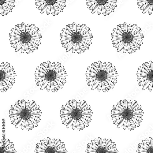 Vector floral seamless pattern. Black and white background with outline hand drawn chamomile flowers. Spring design concept for fabric  textile print  wrapping paper or web backgrounds.